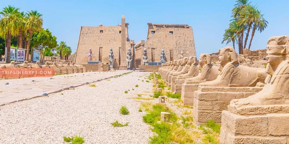 Luxor Temple - Best Places to Visit in Egypt During the Christmas - Trips in Egypt