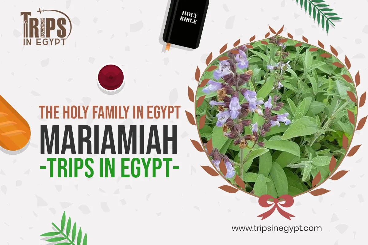 Mariamiah - Places Where the Holy Family Stayed in Egypt - Trips in Egypt