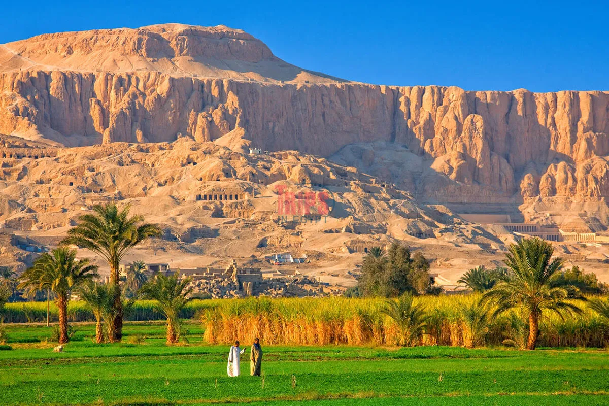 Nile Valley at Luxor - Luxor in 48 Hours - Trips in Egypt