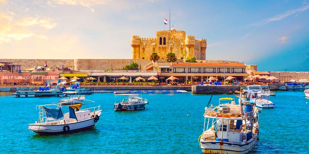 Qaitbay Citadel - Best Places to Visit in Egypt During the Christmas - Trips in Egypt