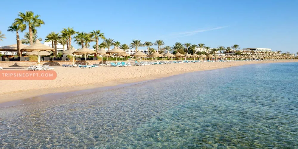 Sharm El Sheikh - Egypt Weather in January - Trips in Egypt