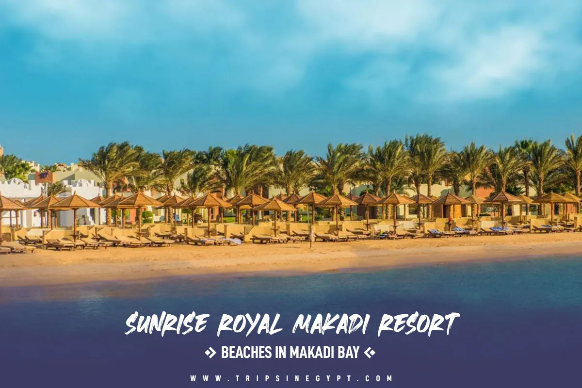 Sunrise Royal Makadi Resort - Top Seaside Beaches in Makadi Bay - Trips in Egypt