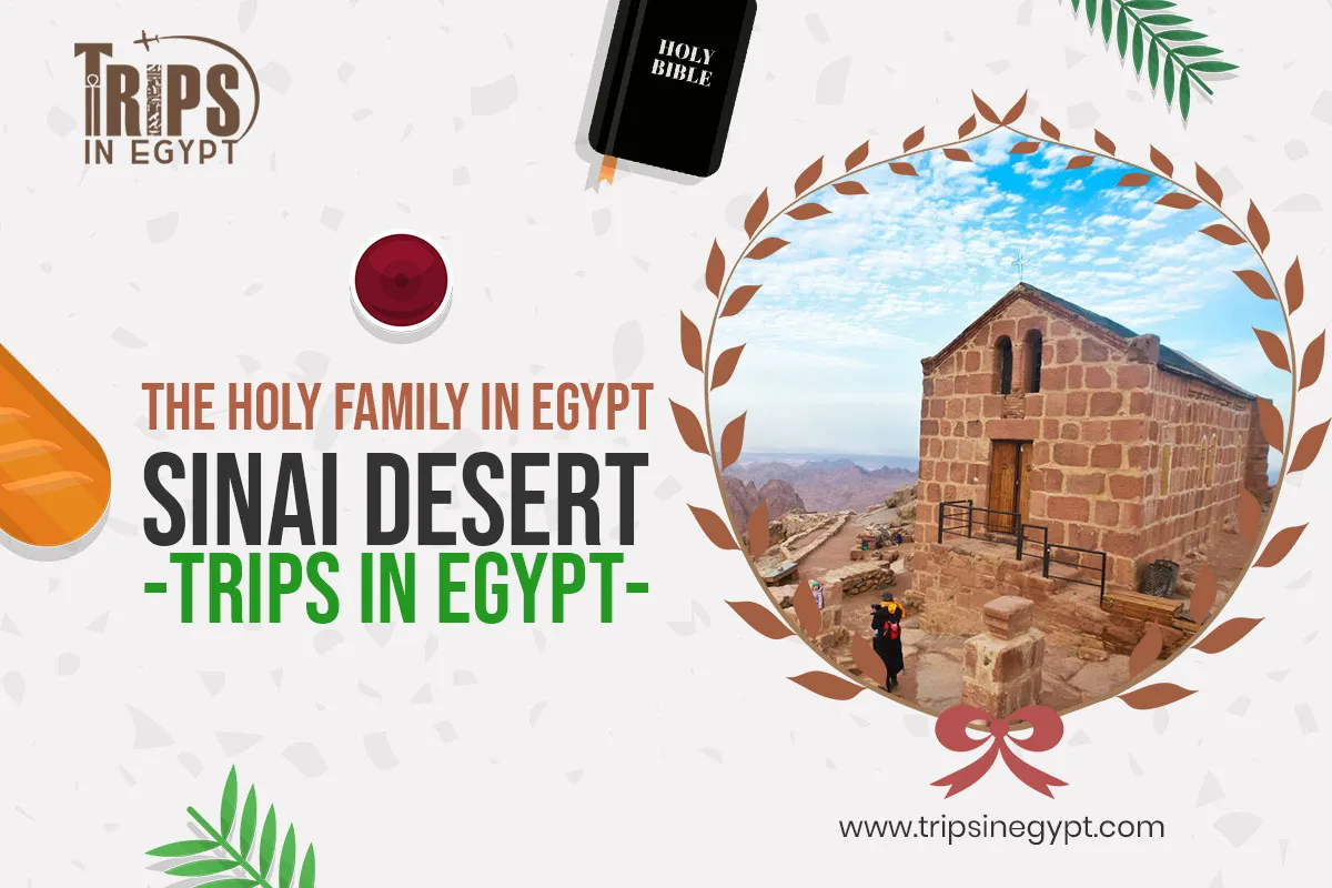 The Sinai Desert - Places Where the Holy Family Stayed in Egypt - Trips in Egypt