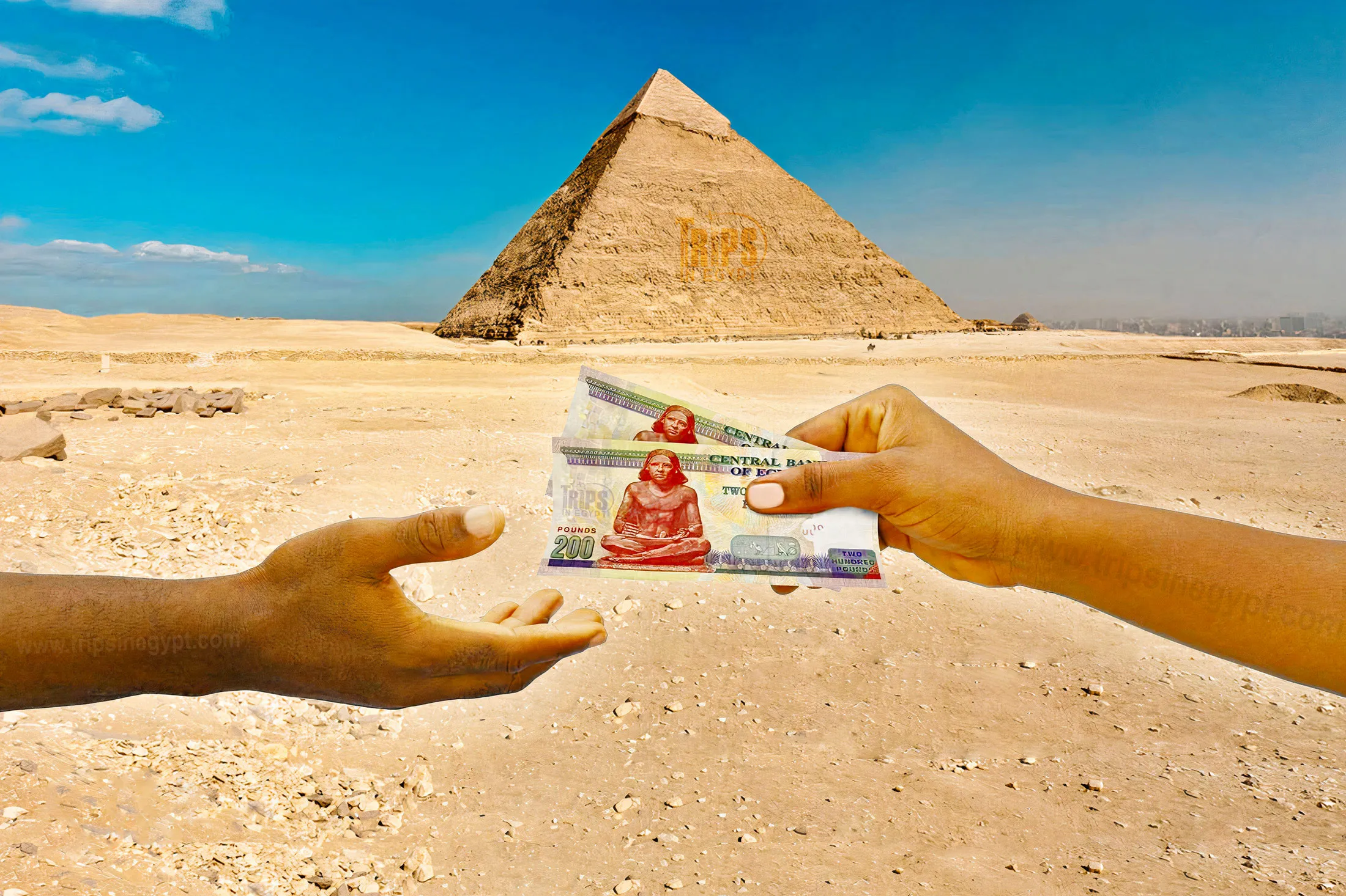 Tipping in Egypt: A Guide to Gratuity Customs
