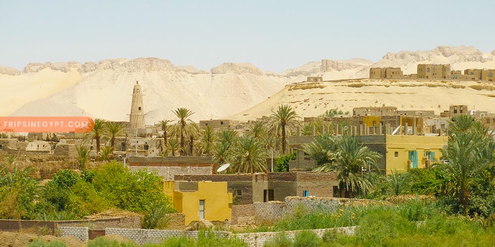 Dakhla Oasis - Trips in Egypt