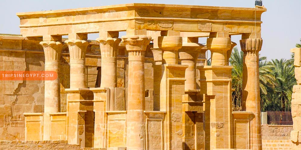 Kharga Oasis - Trips in Egypt