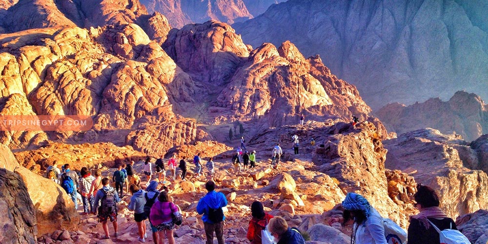 Mount Sinai - Trips in Egypt 