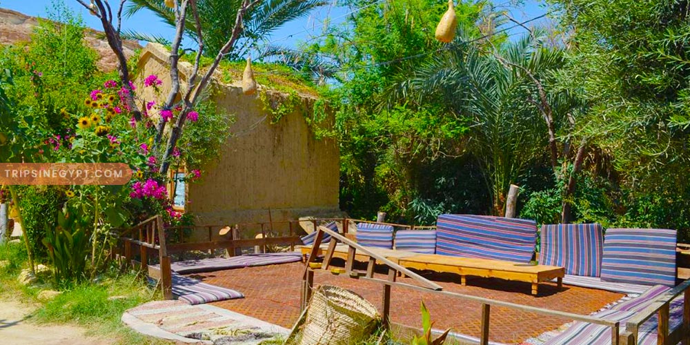Ali-Khaled-Camp - Trips in Egypt Gallery