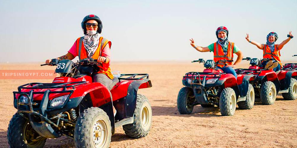 Desert Safari - Trips in Egypt Gallery