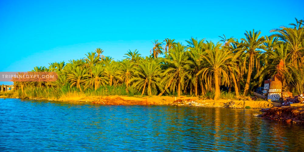 Fatnis Island - Trips in Egypt Gallery