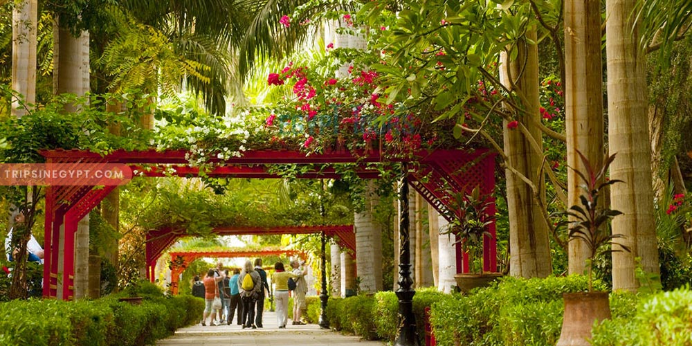 Kitchener Island - Trips in Egypt