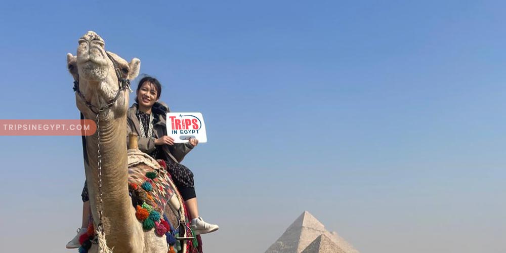 Trips in Egypt Client at the Giza Complex - Trips in Egypt