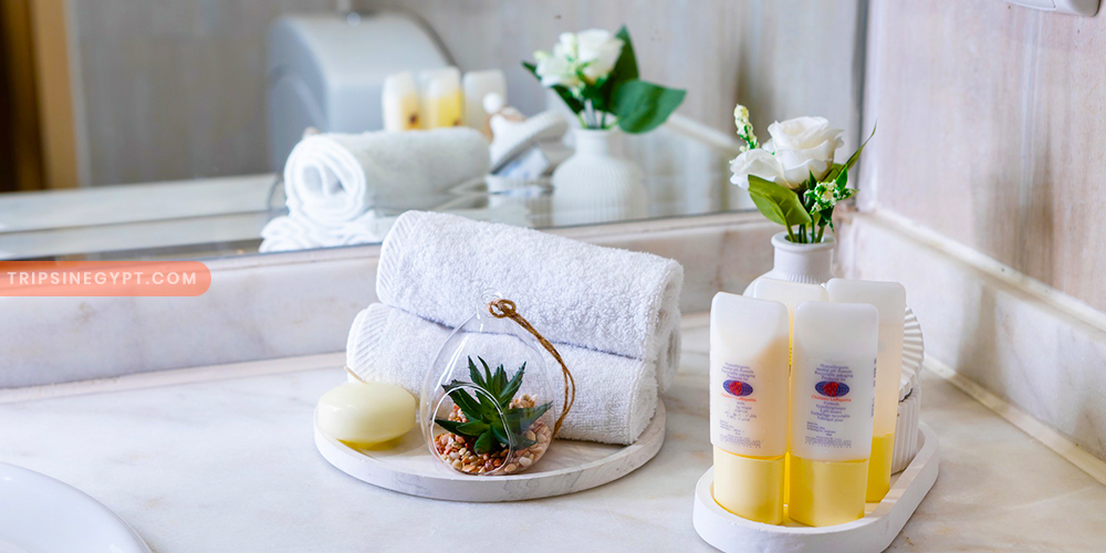 Bathroom of MS Chateau Lafayette Nile Cruise - Trips in Egypt