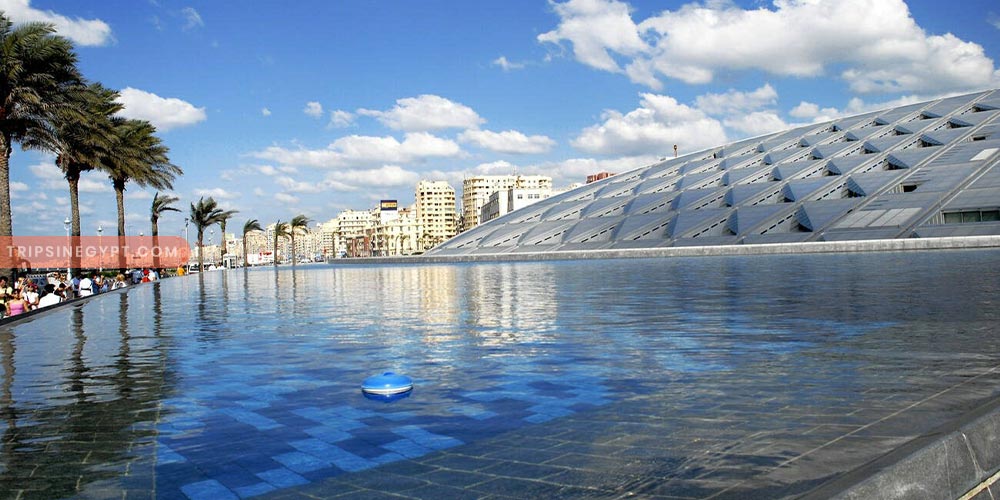 Alexandria Library Gallery - Trips in Egypt