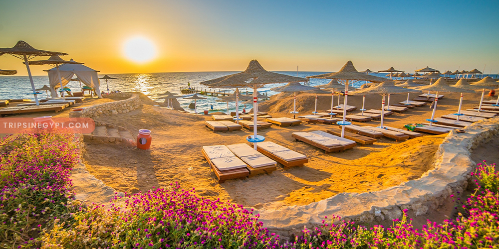 Hurghada Beach Gallery - Trips in Egypt