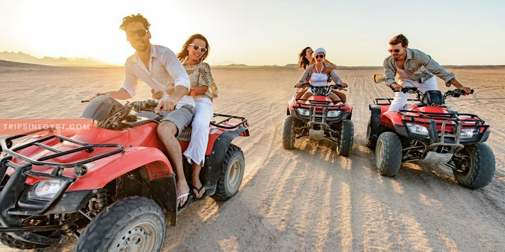 Safari Trip Gallery - Trips in Egypt