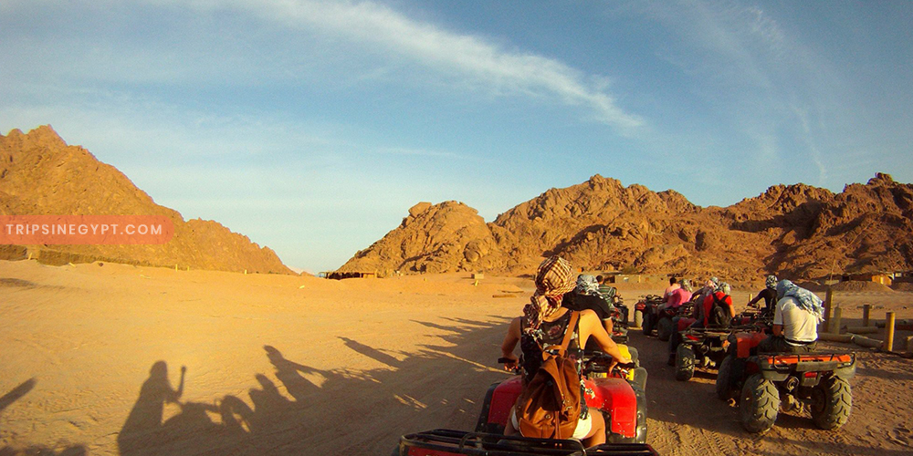 Safari Trip - Trips in Egypt 2