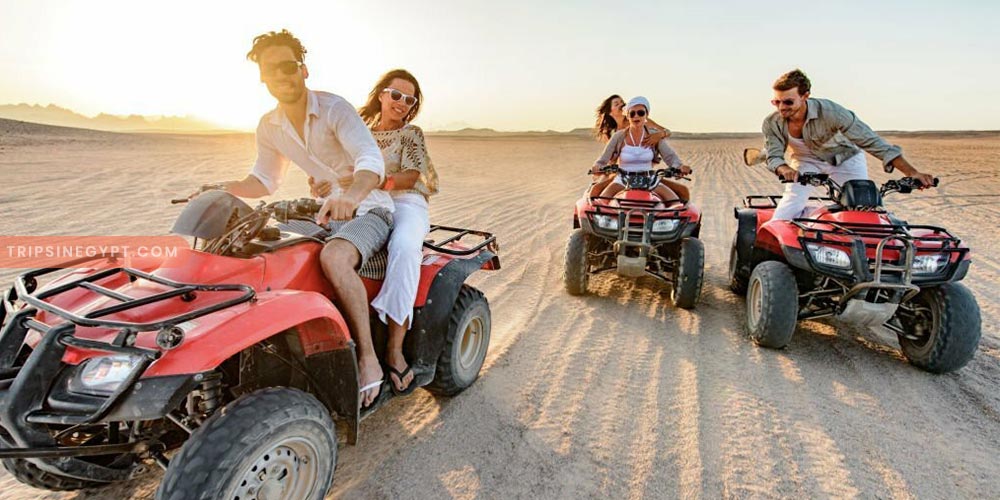 Safari Trip - Trips in Egypt