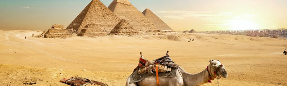 Giza Pyramids Gallery- Trips in Egypt