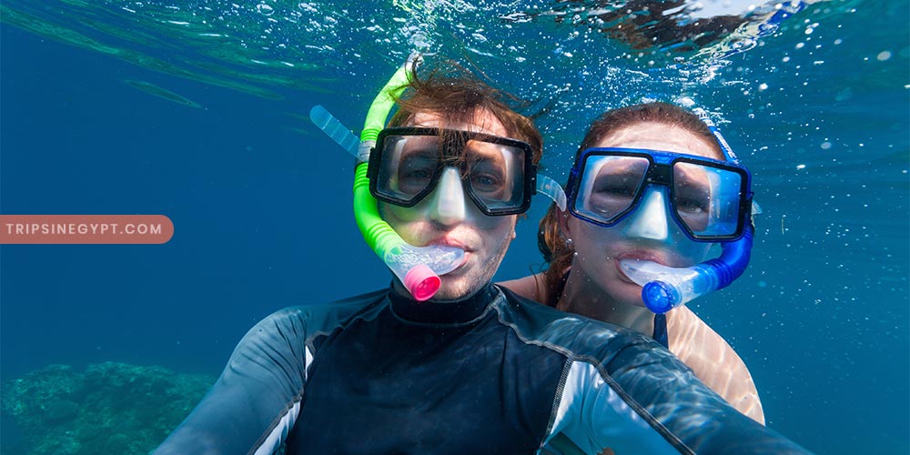 Snorkeling Gallery - Trips in Egypt (2)
