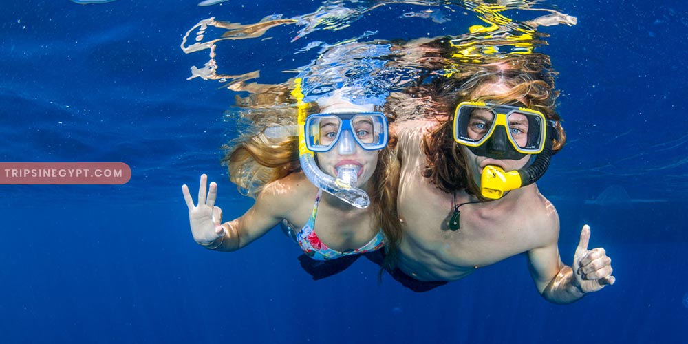 Snorkeling Gallery - Trips in Egypt (3)