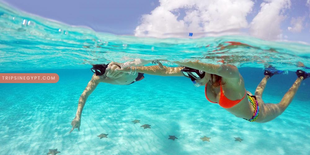 Snorkeling Gallery - Trips in Egypt (4)