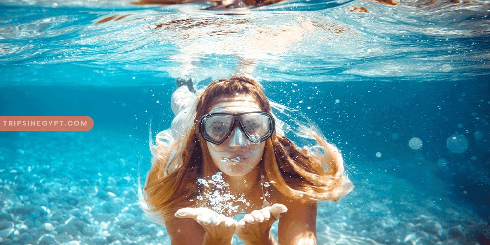 Snorkeling Gallery - Trips in Egypt (5)