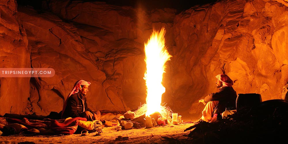 Bedouin Gallery - Trips in Egypt 1