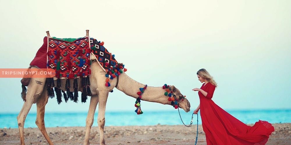 Hurghada Beach Gallery - Trips in Egypt