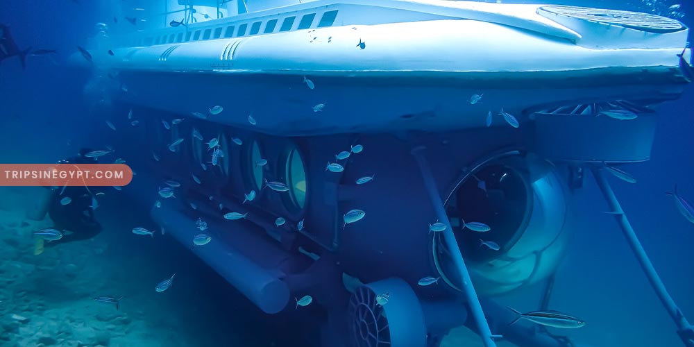 Sindbad Submarine Gallery - Trips in Egypt