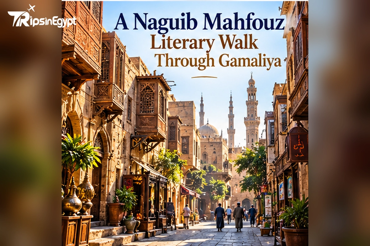 A Naguib Mahfouz Literary Walk Through Gamaliya - Trips in Egypt.webp