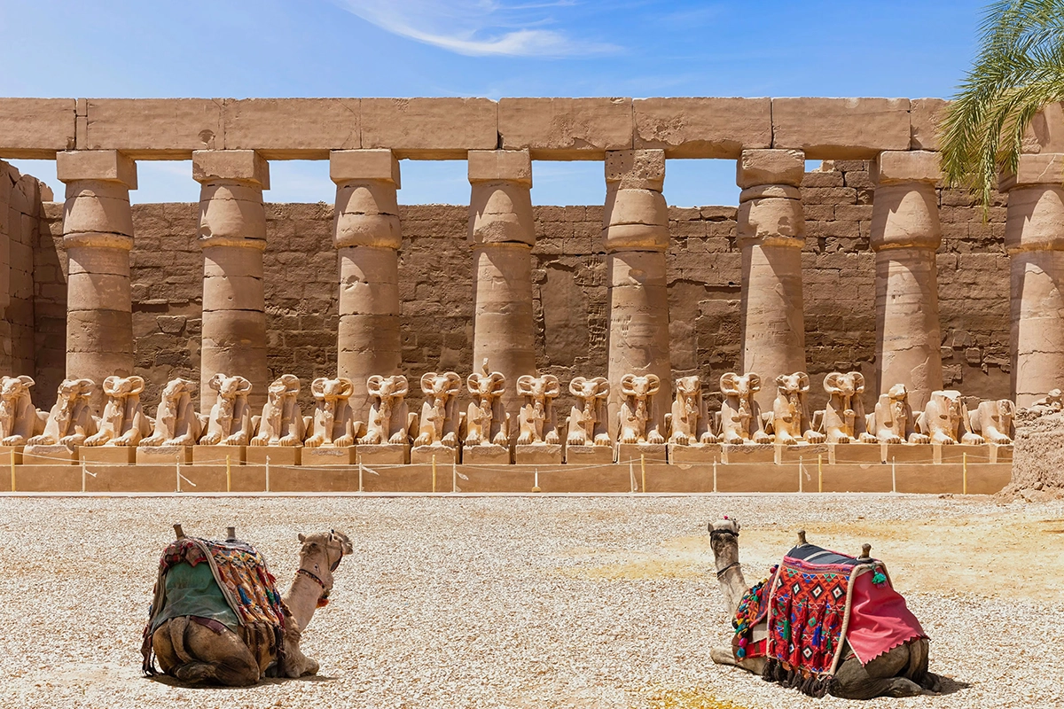 How to Buy Karnak Temple Tickets - Trips in Egypt.webp