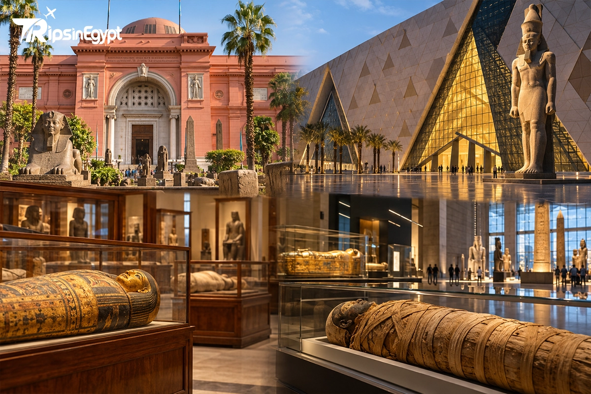 Mummies at the Egyptian Museum in Tahrir and the GEM - Trips in Egypt.webp