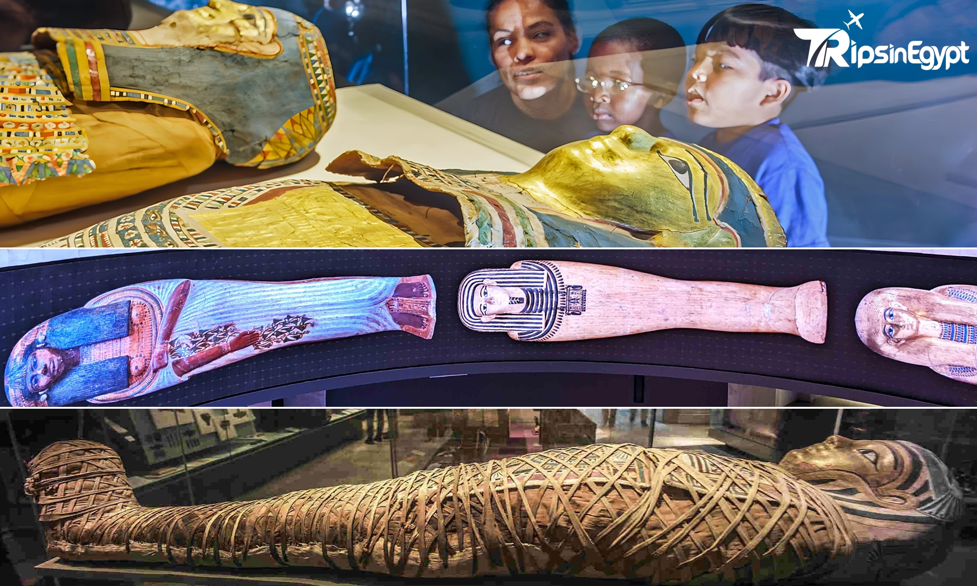 Mummy Museums in Cairo: Royal Exhibits & Where to See Them