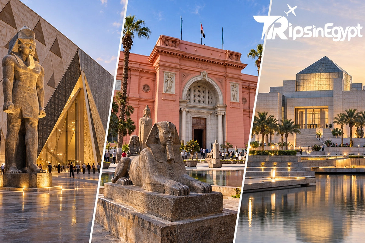 The Big Three GEM, the Egyptian Museum and NMEC - Trips in Egypt.webp